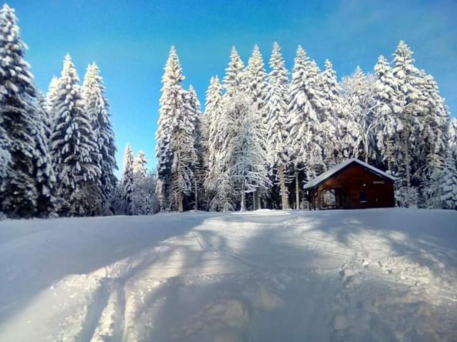 Chalet 3 Etoiles A Gerardmer. Extérieur photo