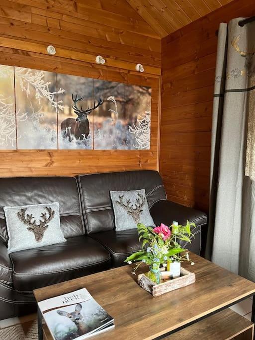 Chalet 3 Etoiles A Gerardmer. Extérieur photo